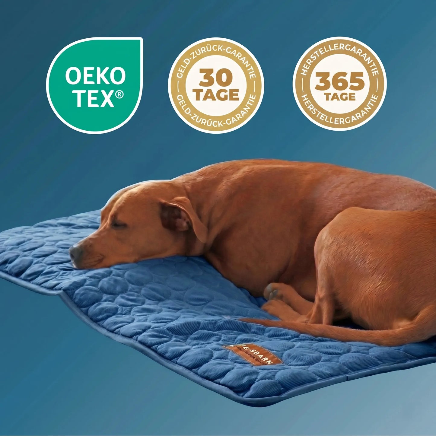 IceSilk™  Kühlmatte für Hunde
