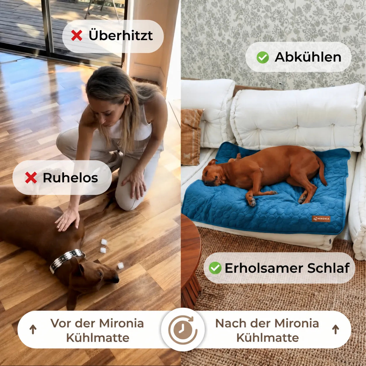 IceSilk™  Kühlmatte für Hunde