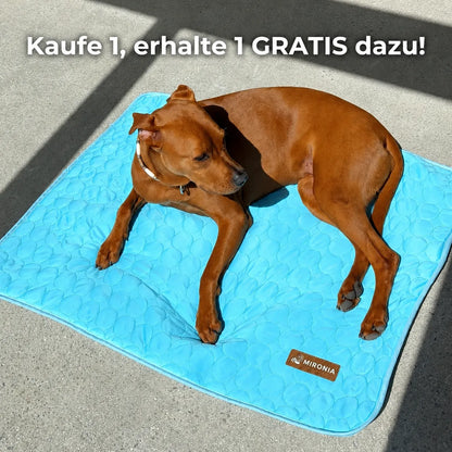 IceSilk™  Kühlmatte für Hunde