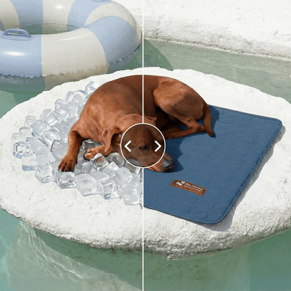 IceSilk™  Kühlmatte für Hunde